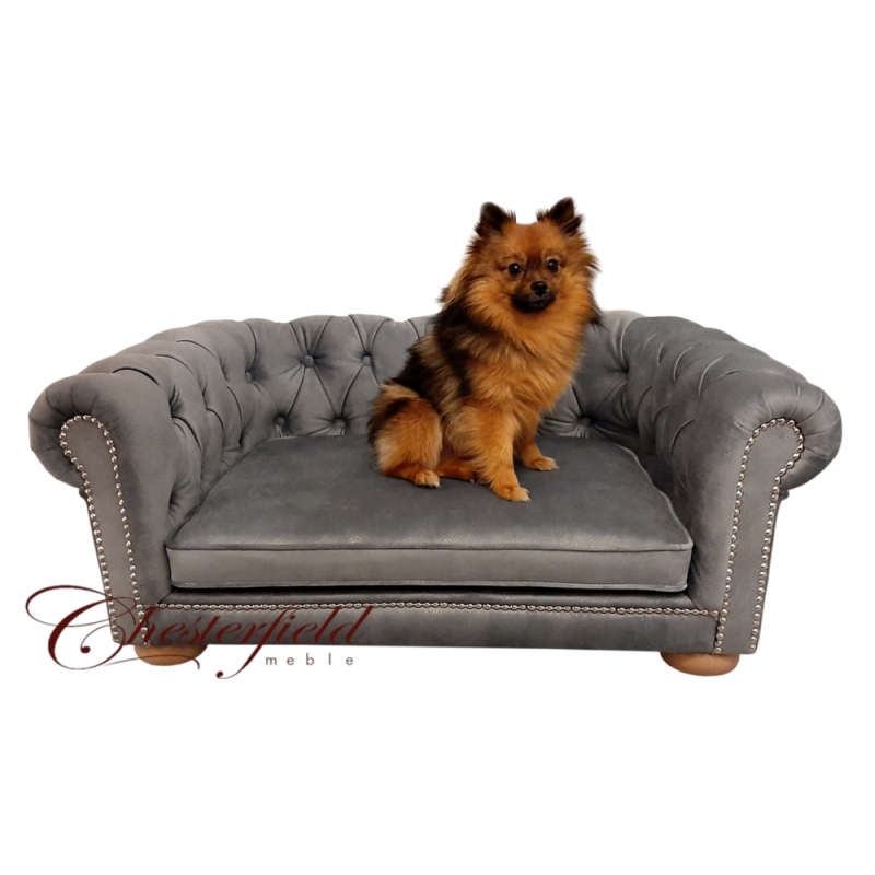 Sofa Chesterfield dla psa