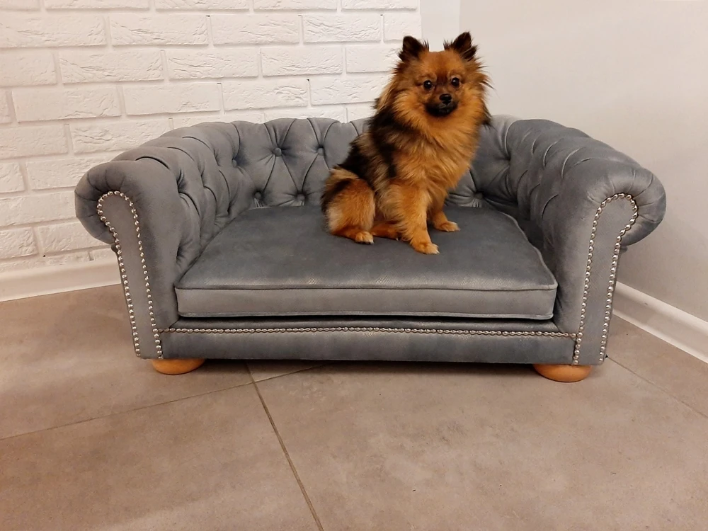 Sofa Chesterfield dla psa