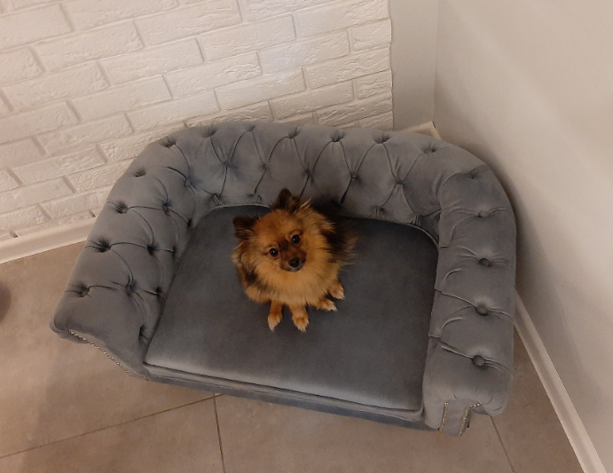 Sofa Chesterfield dla psa