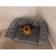 Sofa Chesterfield dla psa