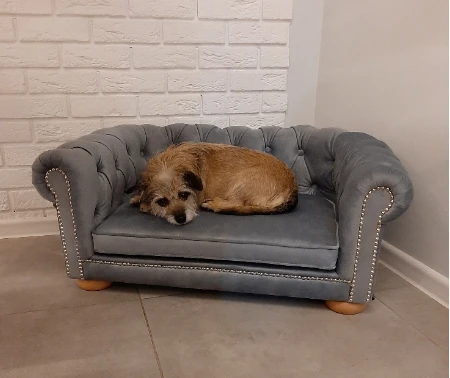 Sofa Chesterfield dla psa